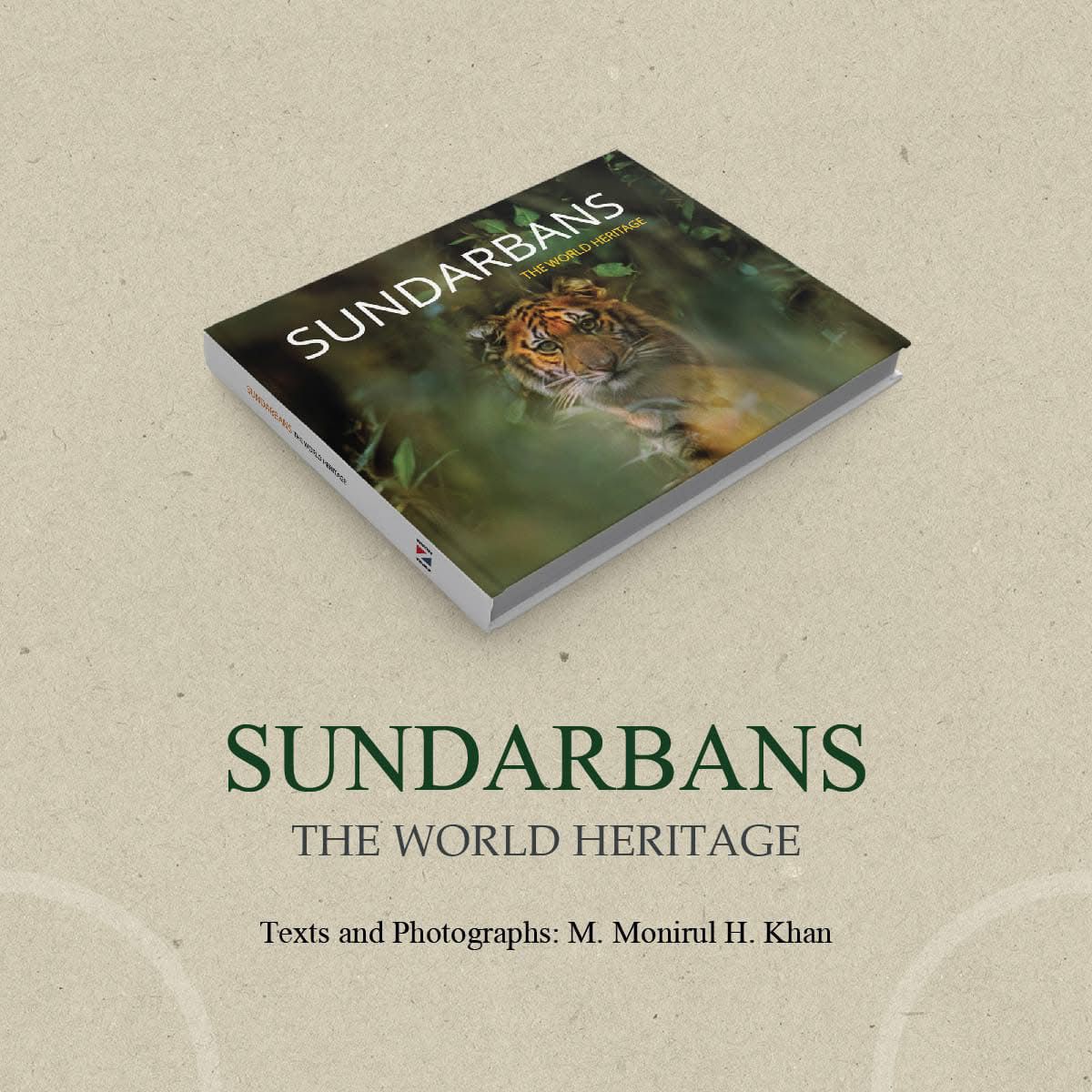 WhatsApp Image 2025-09-13 at 11.56.45 PM